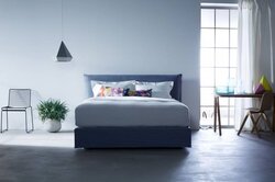 Schramm Purebeds Loft